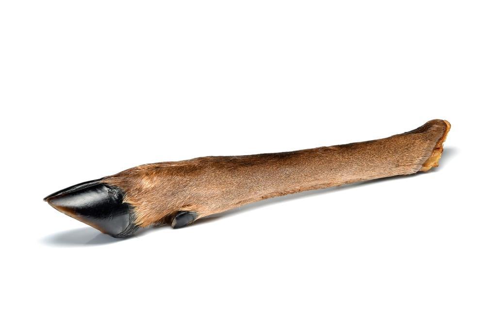 Deer Leg - Hairy / Large | Luxury Home Accessories | Heulog Glow
