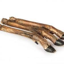 Deer Leg - Roe / Small | Luxury Home Accessories | Heulog Glow