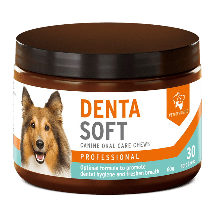 Denta Soft Daily dental chew for dogs | Luxury Home Accessories | Heulog Glow