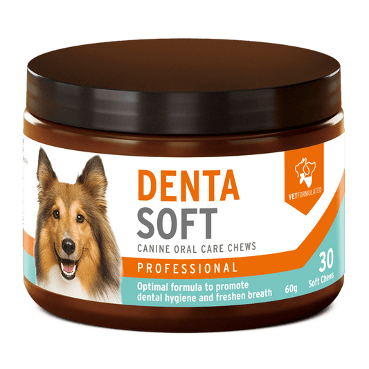 Denta Soft Daily dental chew for dogs | Luxury Home Accessories | Heulog Glow