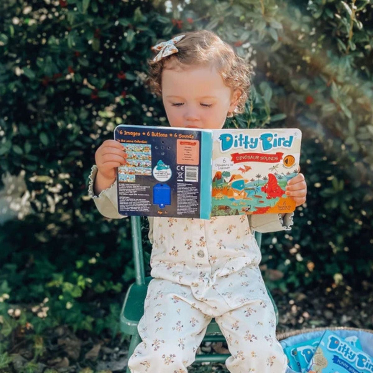Ditty Bird Dinosaur Sounds Book | Luxury Home Accessories | Heulog Glow