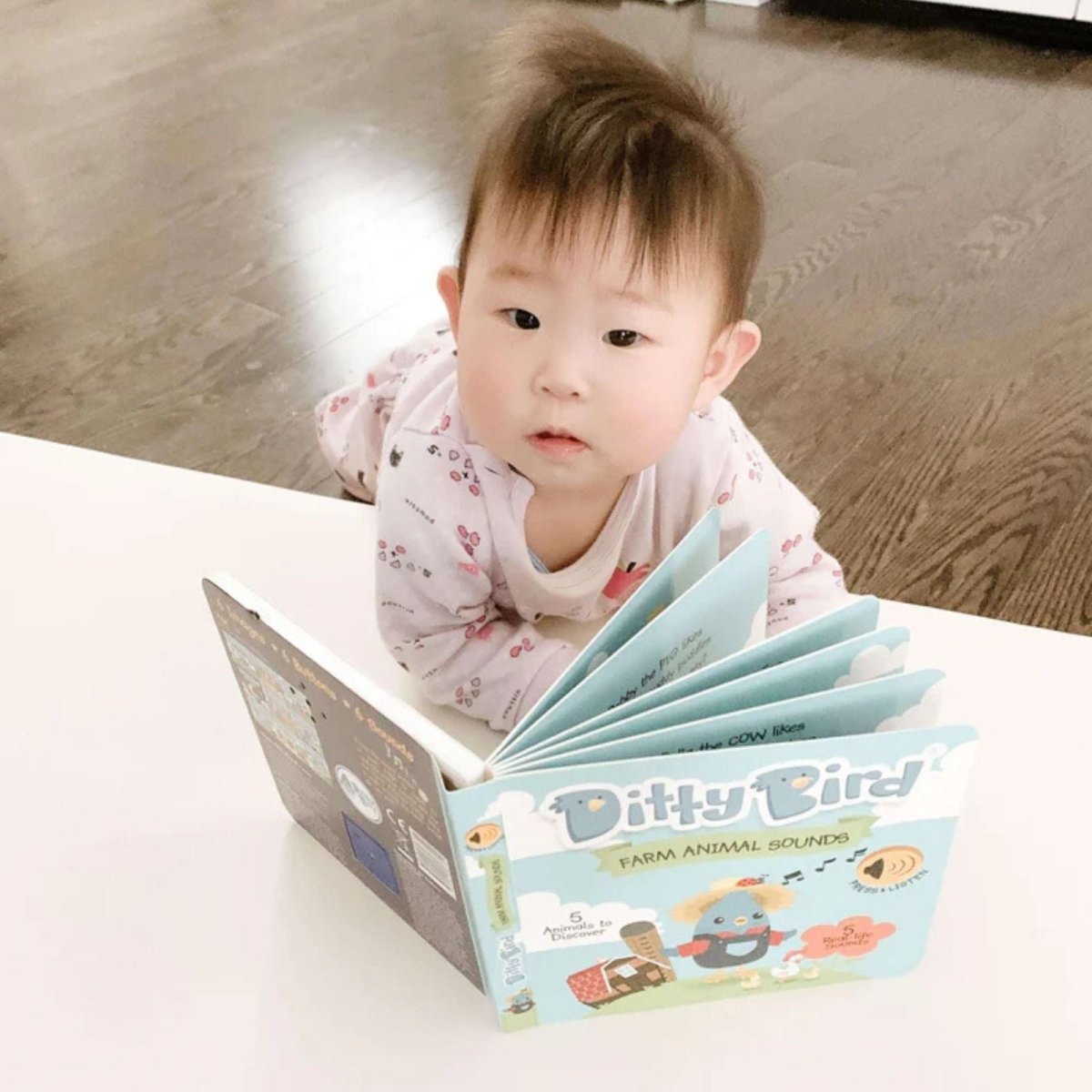 Ditty Bird Farm Animal Sounds Book | Luxury Home Accessories | Heulog Glow