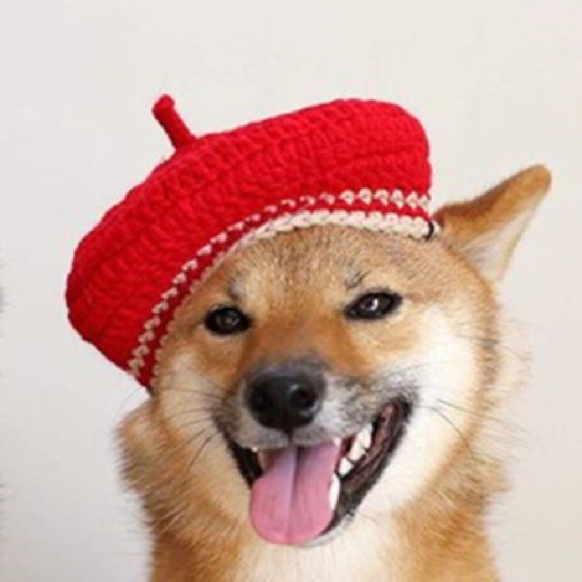 DIY Mini Mixed Color Hand-knitted Beret Cute Pet | Luxury Home Accessories | Heulog Glow