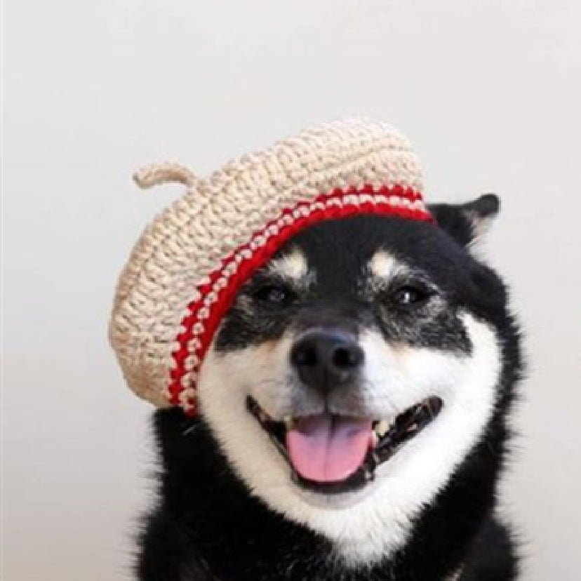 DIY Mini Mixed Color Hand-knitted Beret Cute Pet | Luxury Home Accessories | Heulog Glow