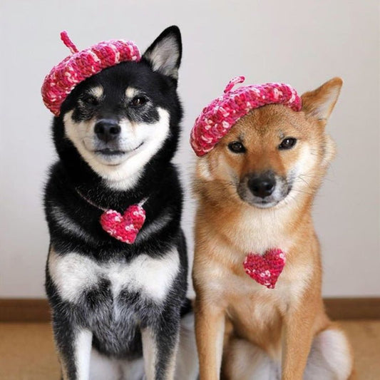 DIY Mini Mixed Color Hand-knitted Beret Cute Pet | Luxury Home Accessories | Heulog Glow
