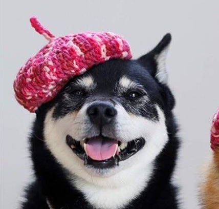 DIY Mini Mixed Color Hand-knitted Beret Cute Pet | Luxury Home Accessories | Heulog Glow