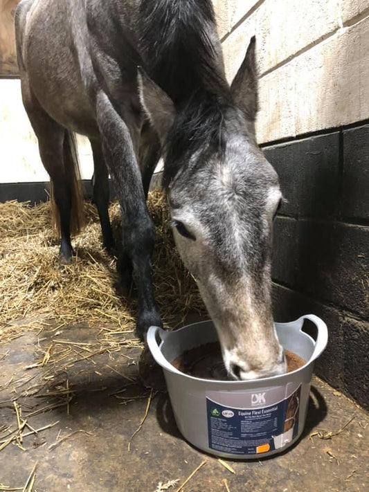 DK Equine Flexi Tub Feed Essential | Luxury Home Accessories | Heulog Glow