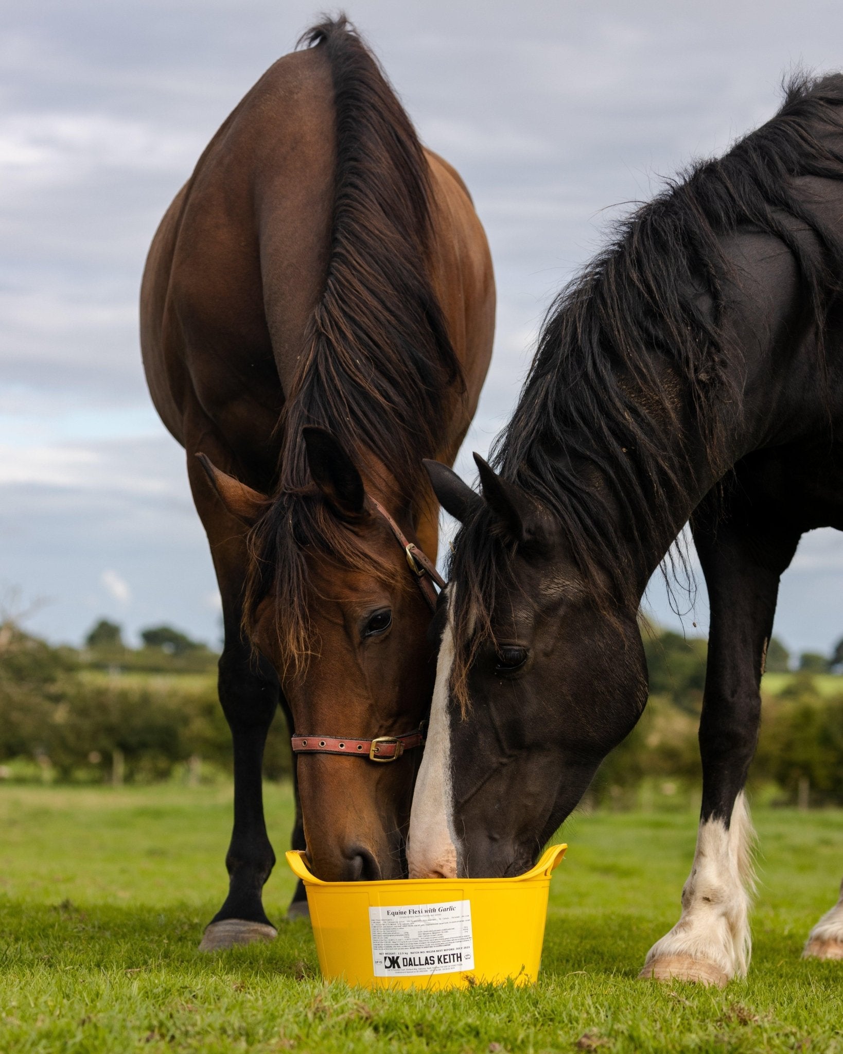 DK Equine Flexi Tub Garlic | Luxury Home Accessories | Heulog Glow