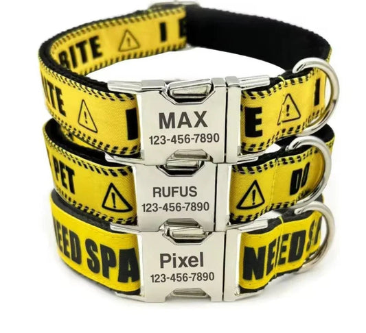 Do Not Pet - I Need Space - I Bite - Collar & Lead Set (Free Engraving) | Luxury Home Accessories | Heulog Glow