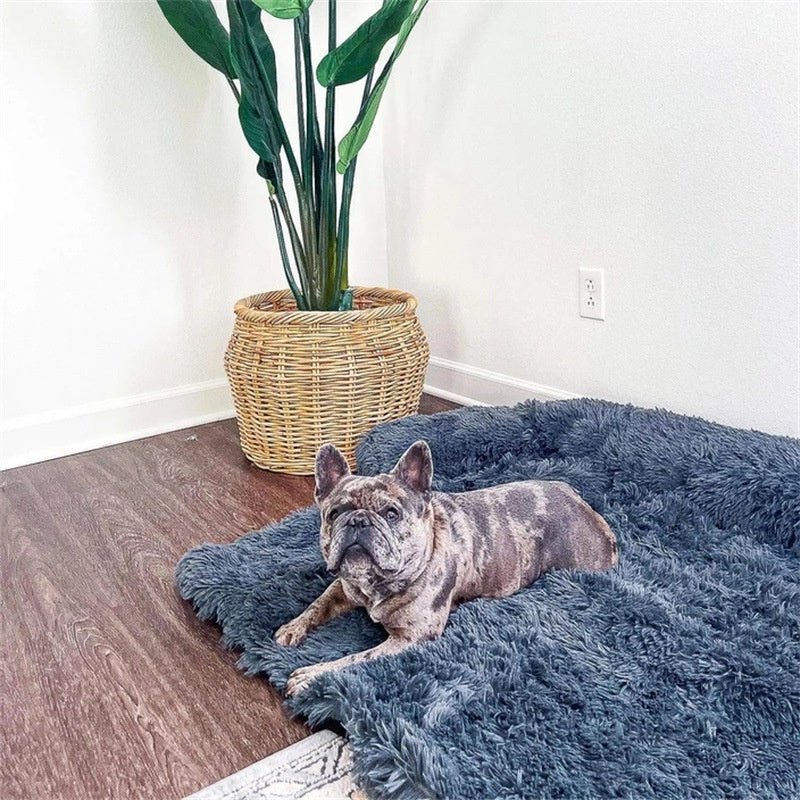 Dog Bed | Luxury Home Accessories | Heulog Glow