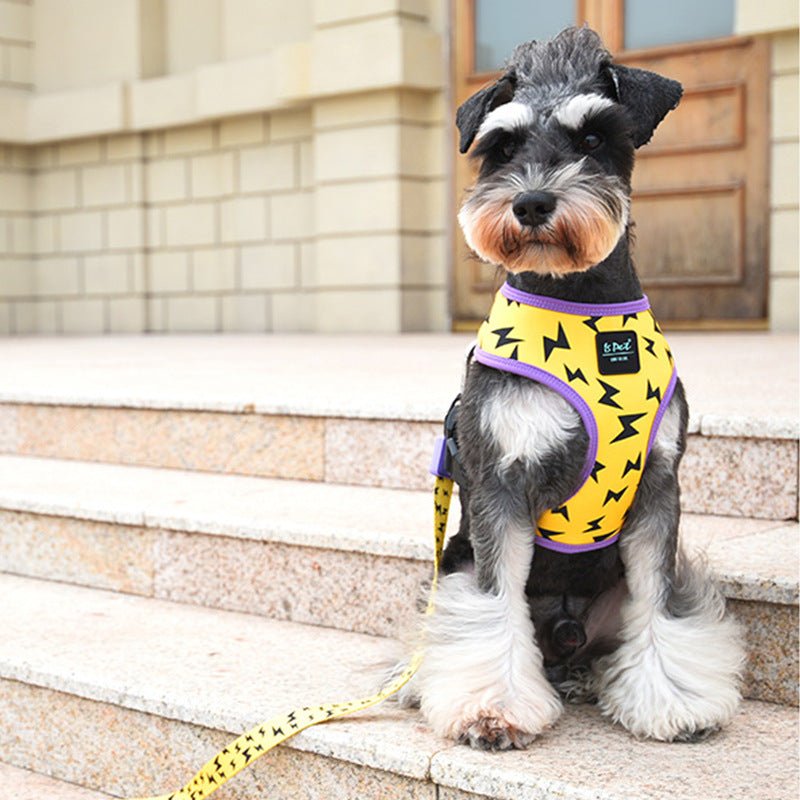 Dog Belt Outing Vest-style Harness | Luxury Home Accessories | Heulog Glow
