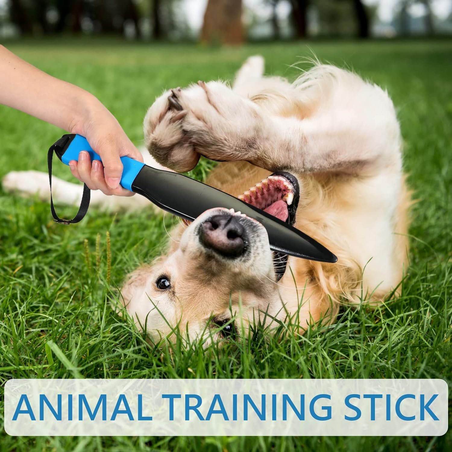 Dog Break Stick Dog No Bite Sticks Dog Bite Training Stick Pet Chew Toys For Small Medium Dogs Pet Supplies Large Dog Toy | Luxury Home Accessories | Heulog Glow