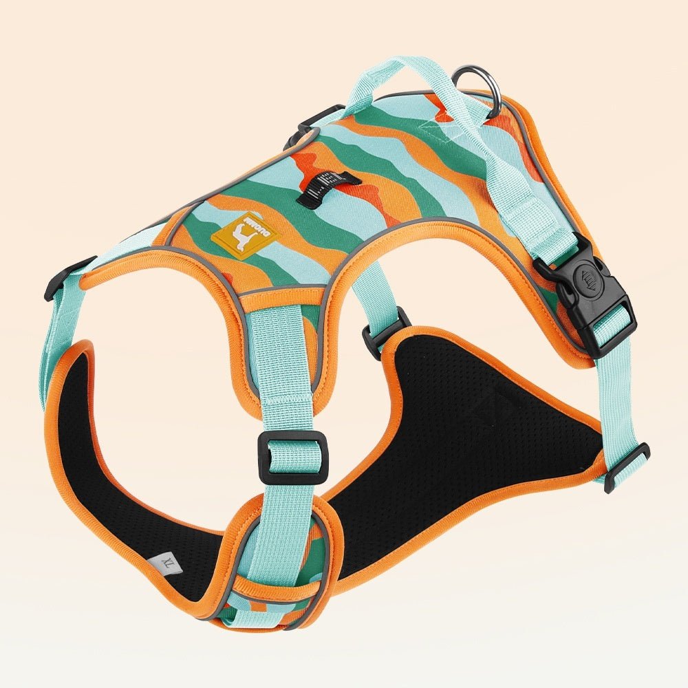 Dog Chest And Back Reflective Commuter Hand Holding Rope | Luxury Home Accessories | Heulog Glow