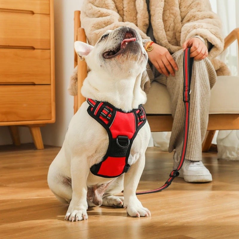 Dog Chest Strap Explosion-proof Vest | Luxury Home Accessories | Heulog Glow
