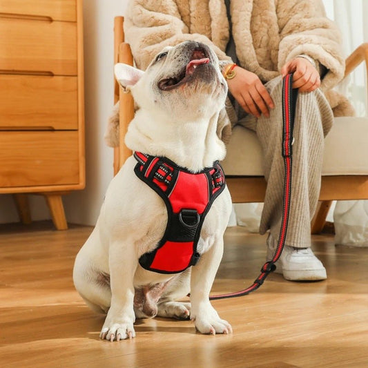 Dog Chest Strap Explosion-proof Vest | Luxury Home Accessories | Heulog Glow