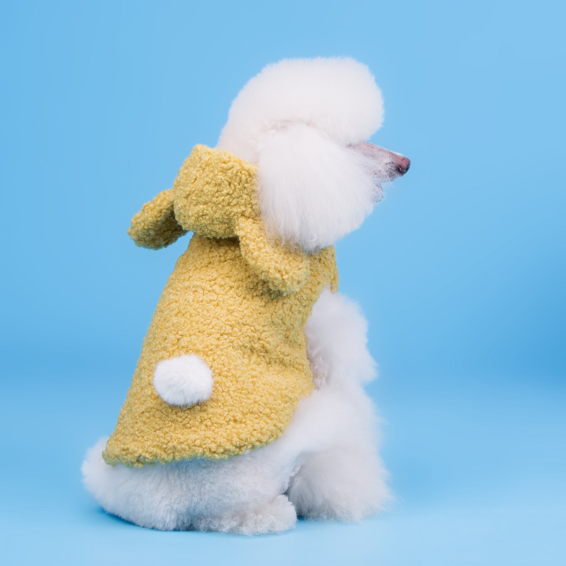 Dog Clothes Cubs Split Two-legged Teddy Dog Pet | Luxury Home Accessories | Heulog Glow