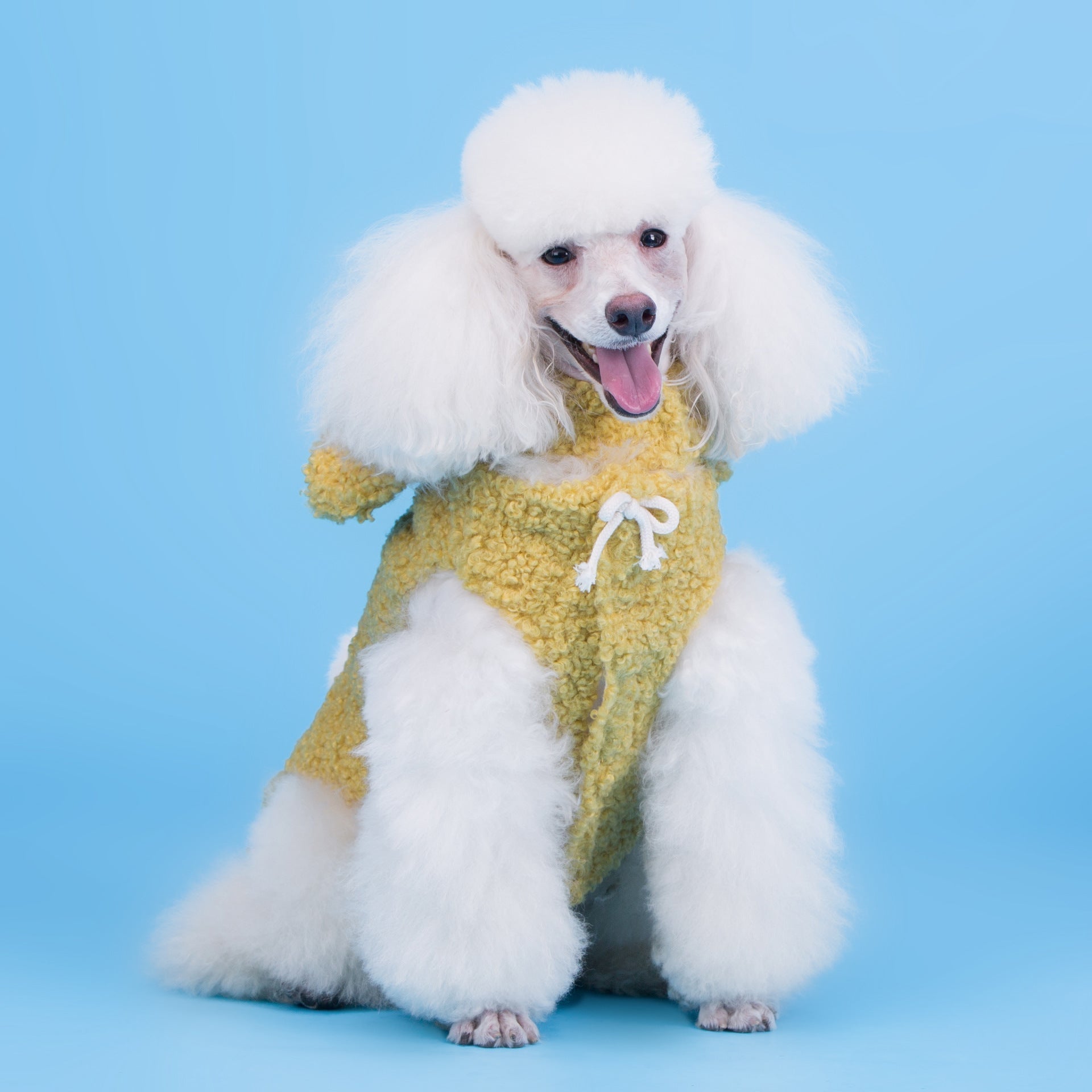 Dog Clothes Cubs Split Two-legged Teddy Dog Pet | Luxury Home Accessories | Heulog Glow