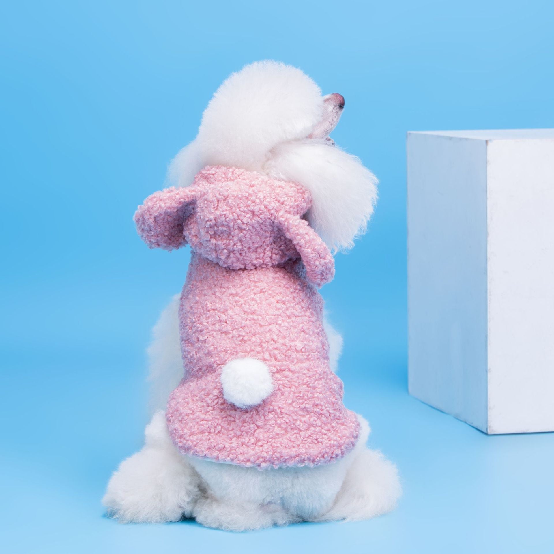 Dog Clothes Cubs Split Two-legged Teddy Dog Pet | Luxury Home Accessories | Heulog Glow