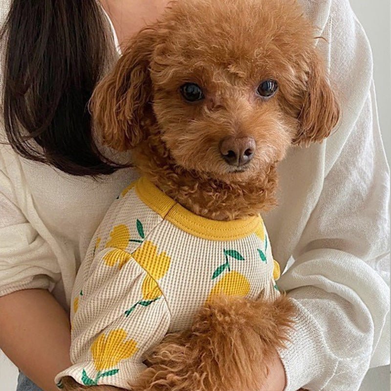 Dog Clothes Tulip Full Printed Waffle T-shirt | Luxury Home Accessories | Heulog Glow