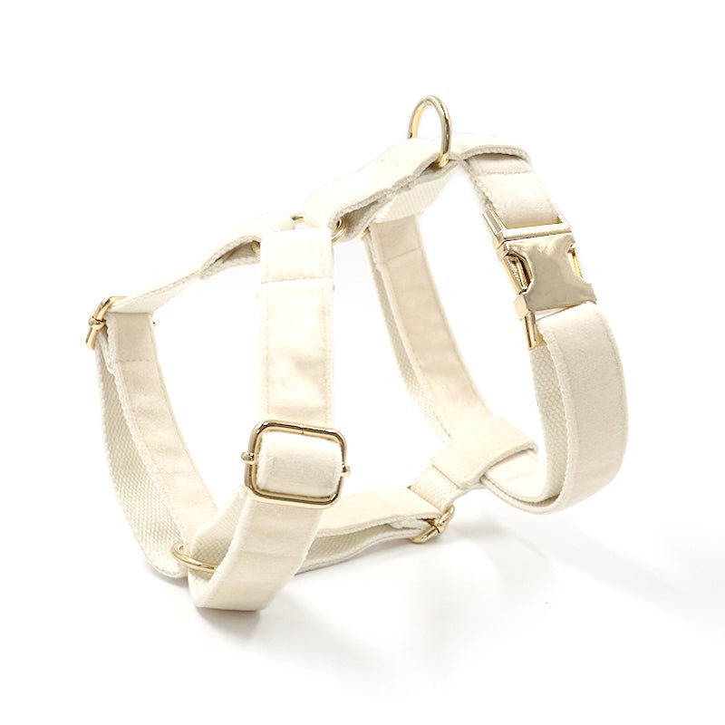 Dog collar traction rope | Luxury Home Accessories | Heulog Glow