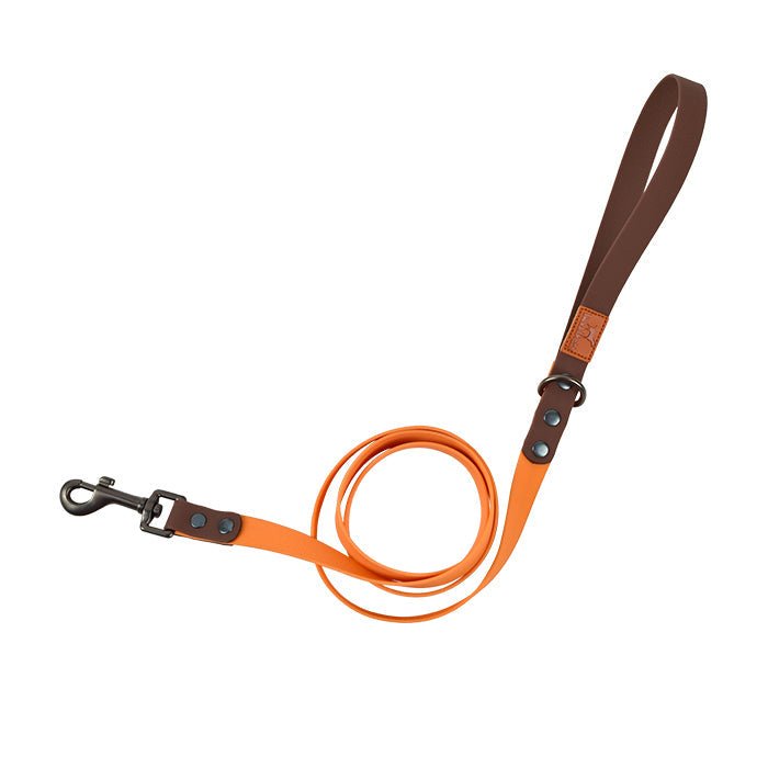 Dog Collar Traction Rope Retro | Luxury Home Accessories | Heulog Glow