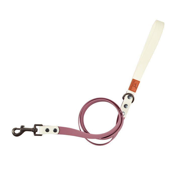 Dog Collar Traction Rope Retro | Luxury Home Accessories | Heulog Glow