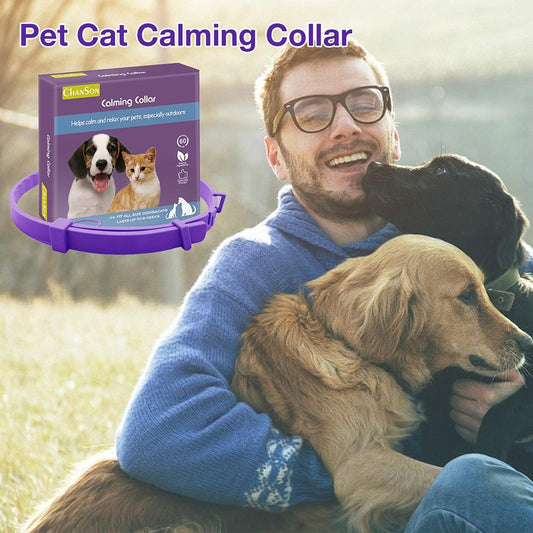 Dog Comfort Collar Cat Teddy Pet | Luxury Home Accessories | Heulog Glow