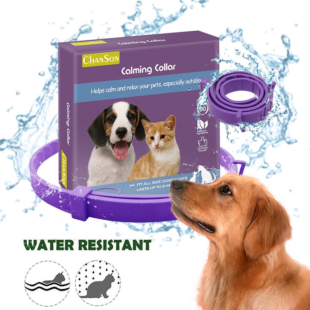 Dog Comfort Collar Cat Teddy Pet | Luxury Home Accessories | Heulog Glow