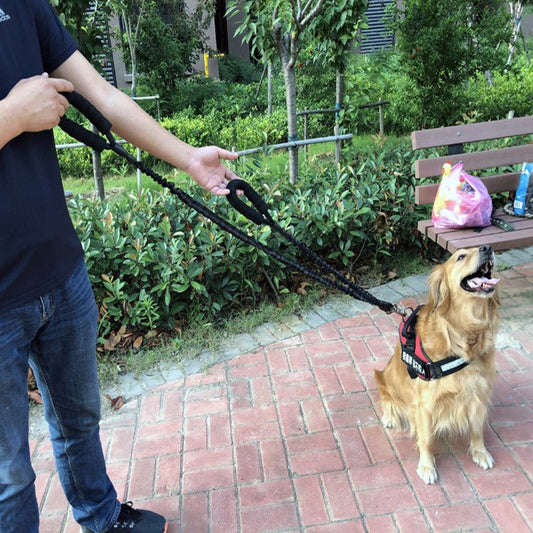 Dog Explosion-proof Okinawa Leash Elastic Retractable | Luxury Home Accessories | Heulog Glow