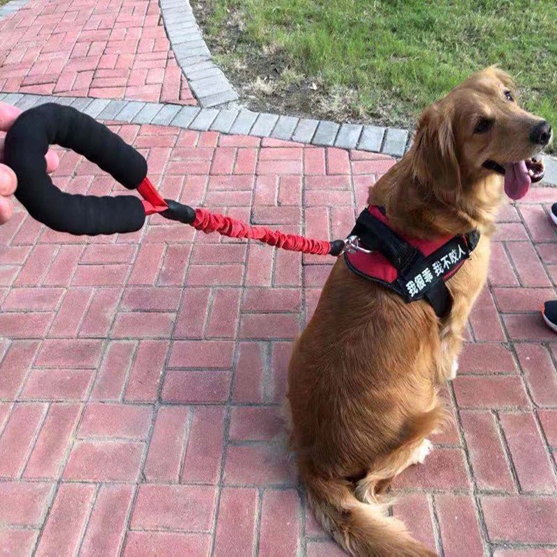 Dog Explosion-proof Okinawa Leash Elastic Retractable | Luxury Home Accessories | Heulog Glow