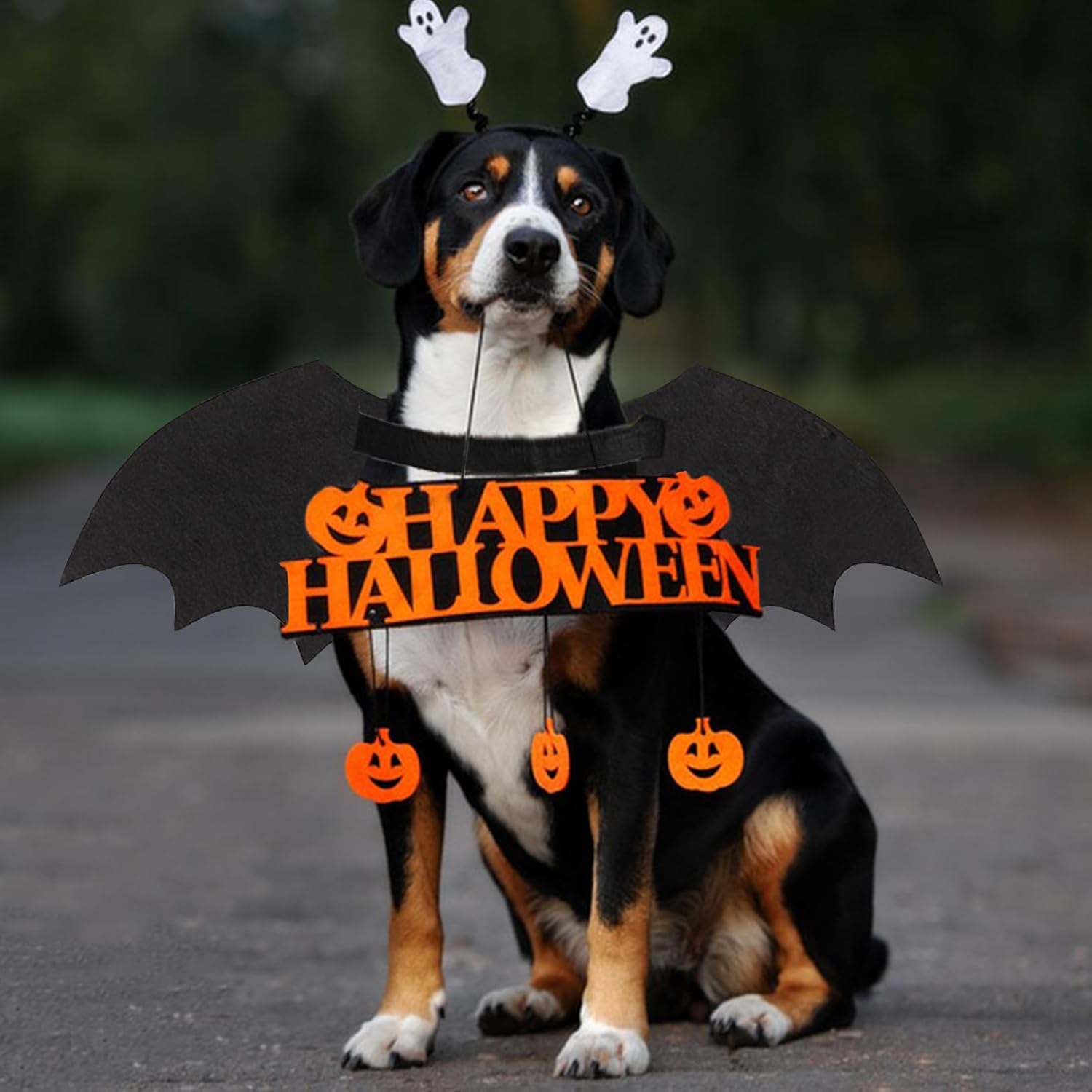 Dog Halloween Costumes Dog Bat Costume Cool Luminous Skeleton Bone Bat Wings Pets Cosplay Costumes Dress Up Apparel For Small Medium Large Cats And Dogs | Luxury Home Accessories | Heulog Glow