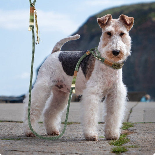 Dog Hand Holding Rope Anti Breaking Loose Collar | Luxury Home Accessories | Heulog Glow