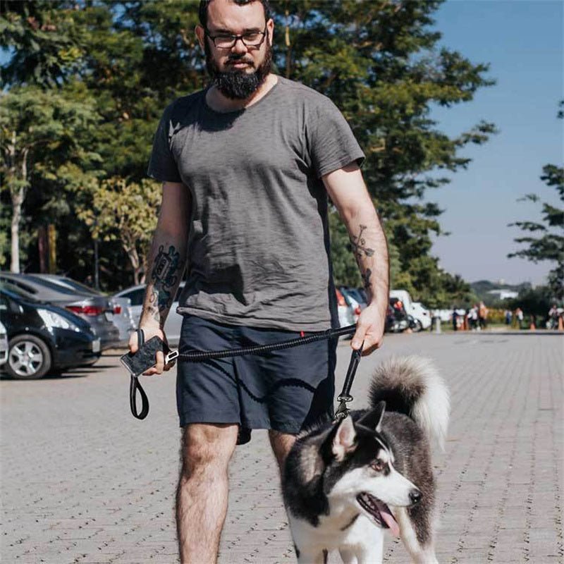 Dog Leash, Dog Leash For Large Dogs, Multifunctional Dog Leashes For Medium Dogs, Adjustable Dog Leash With Car Seatbelt, 4-6 FT Strong Bungee Dog Leash | Luxury Home Accessories | Heulog Glow