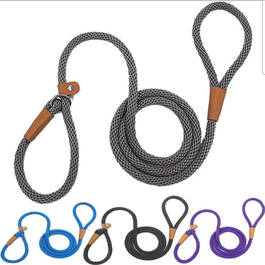 Dog Leash Slip Rope - Budget | Luxury Home Accessories | Heulog Glow