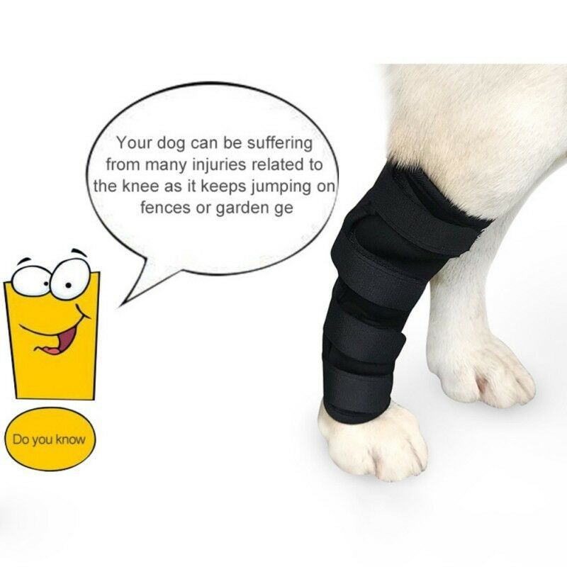 Dog Leggings Injury Prevention Licking | Luxury Home Accessories | Heulog Glow