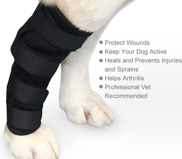 Dog Leggings Injury Prevention Licking | Luxury Home Accessories | Heulog Glow