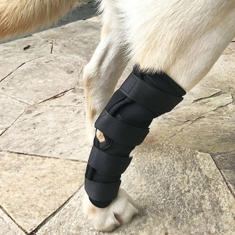 Dog Leggings Injury Prevention Licking | Luxury Home Accessories | Heulog Glow
