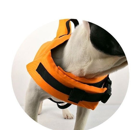 Dog Life Jacket Law Fighting Swimsuit Pet Supplies | Luxury Home Accessories | Heulog Glow