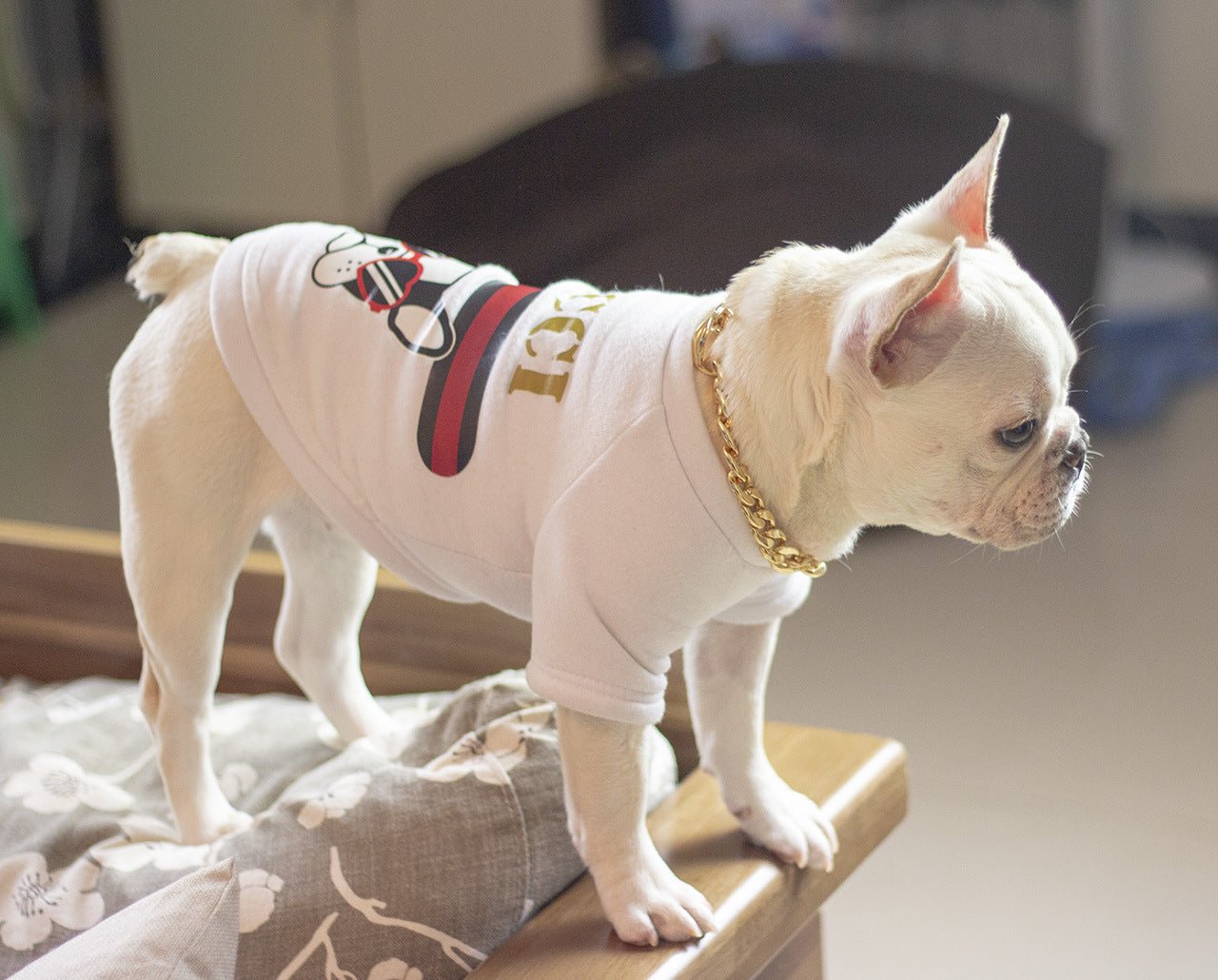 Dog metal big gold chain | Luxury Home Accessories | Heulog Glow