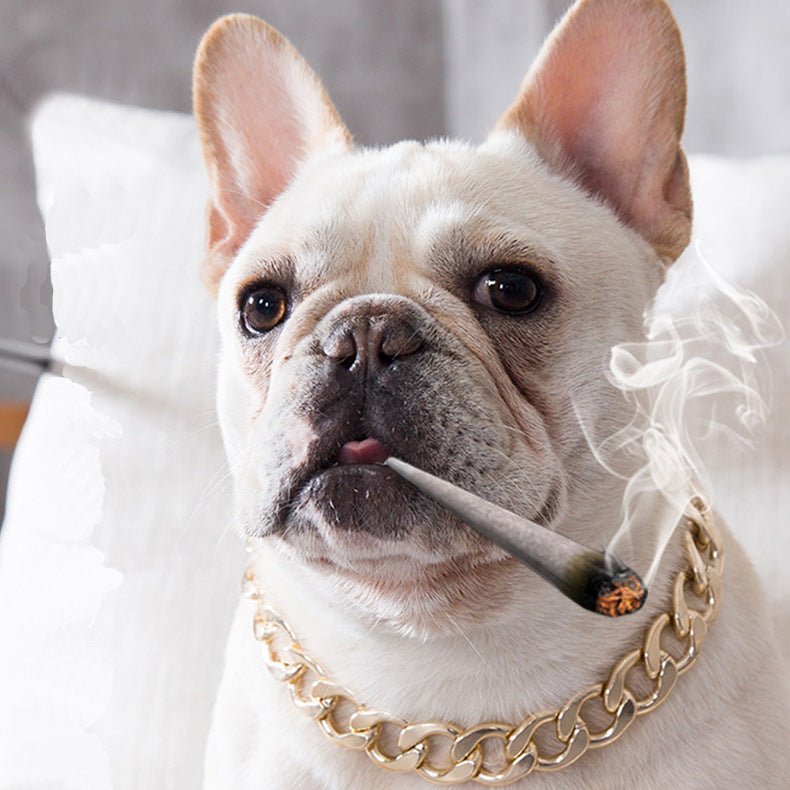 Dog metal big gold chain | Luxury Home Accessories | Heulog Glow