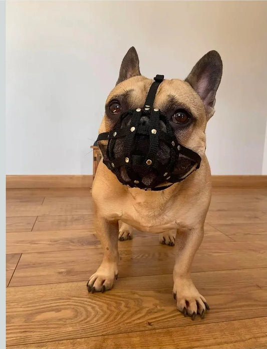Dog Muzzle for French Bulldog "Frenchies" a Other similar snouts short snout | Luxury Home Accessories | Heulog Glow