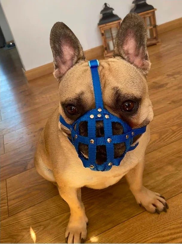 Dog Muzzle for French Bulldog "Frenchies" a Other similar snouts short snout | Luxury Home Accessories | Heulog Glow