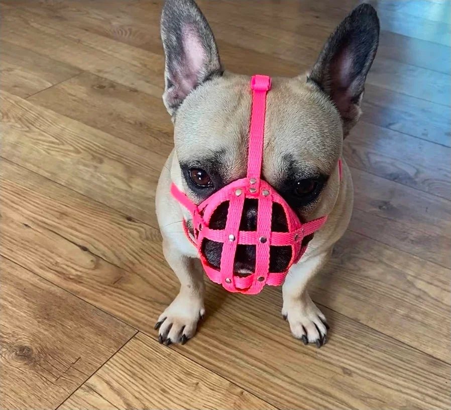 Dog Muzzle for French Bulldog "Frenchies" a Other similar snouts short snout | Luxury Home Accessories | Heulog Glow
