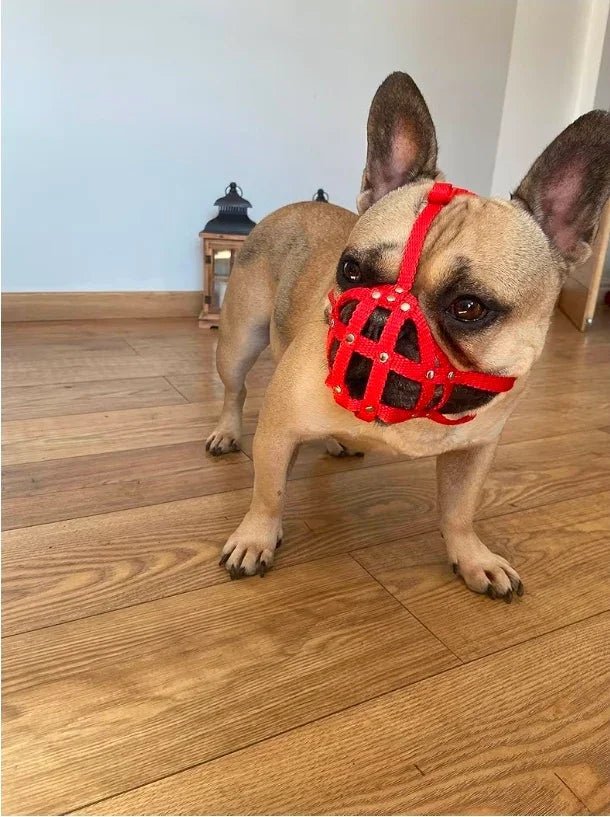 Dog Muzzle for French Bulldog "Frenchies" a Other similar snouts short snout | Luxury Home Accessories | Heulog Glow