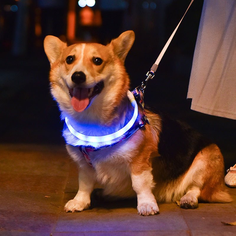 Dog Pet Luminous Led Collar Usb Rechargeable Silicone Collar Luminous Dog Leash Pet Supplies | Luxury Home Accessories | Heulog Glow