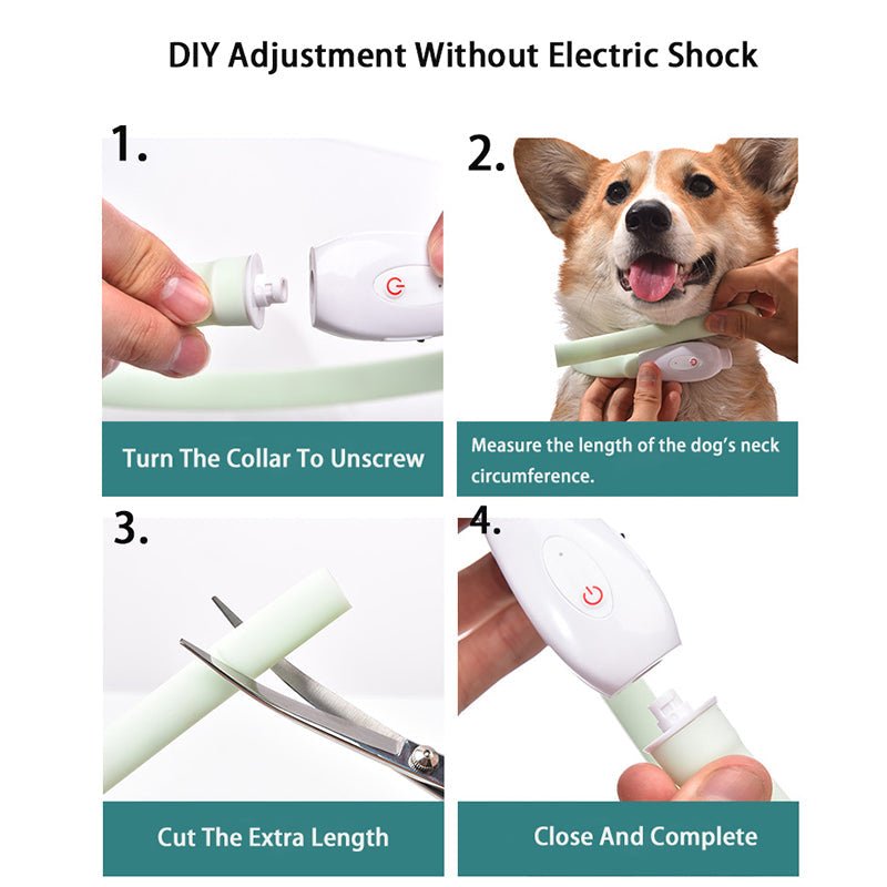 Dog Pet Luminous Led Collar Usb Rechargeable Silicone Collar Luminous Dog Leash Pet Supplies | Luxury Home Accessories | Heulog Glow
