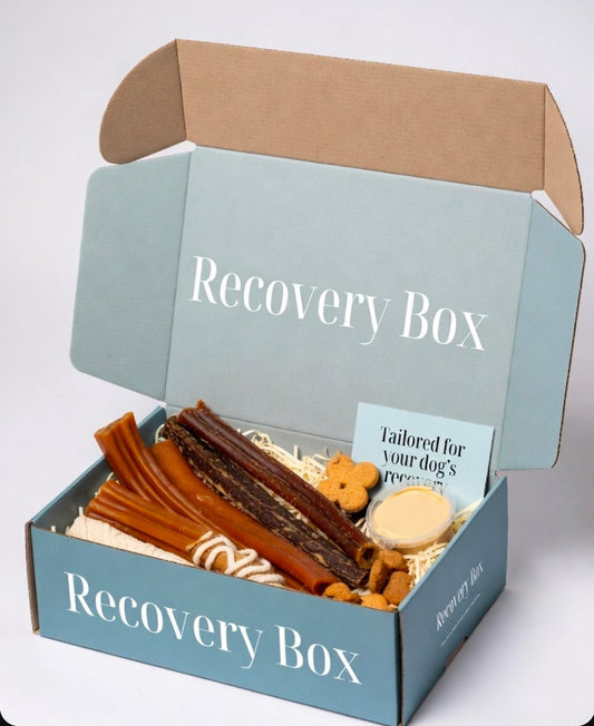 Dog Recovery box | Luxury Home Accessories | Heulog Glow