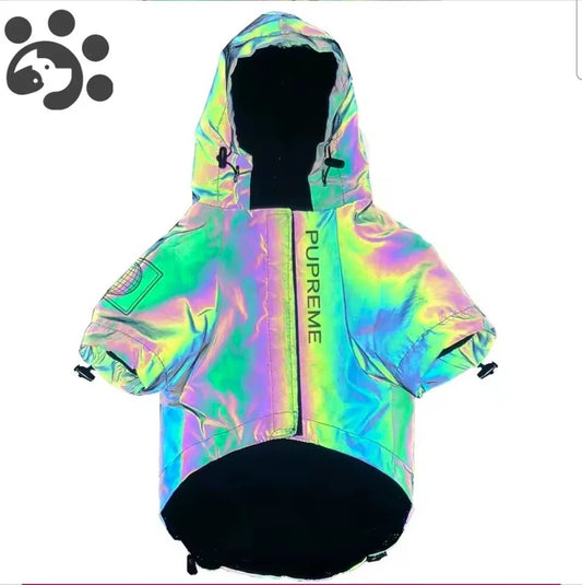 Dog Shack Flash!! Dog Coat | Luxury Home Accessories | Heulog Glow