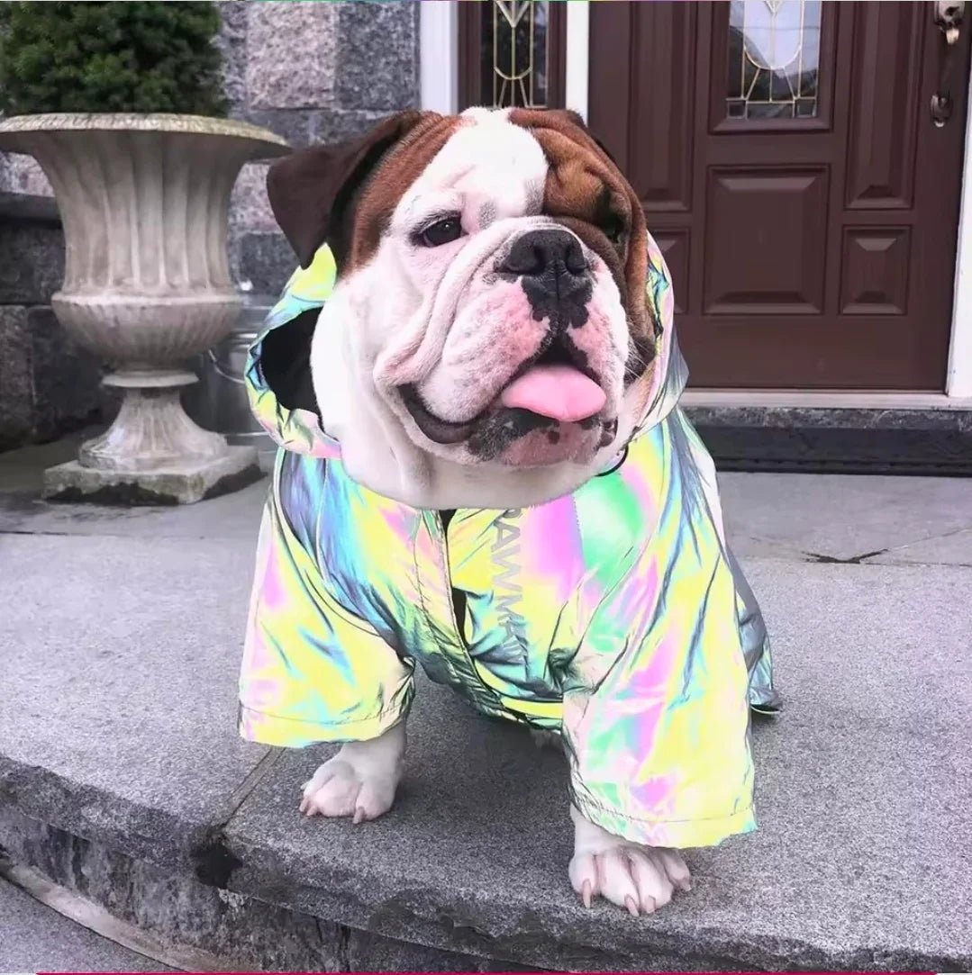 Dog Shack Flash!! Dog Coat | Luxury Home Accessories | Heulog Glow