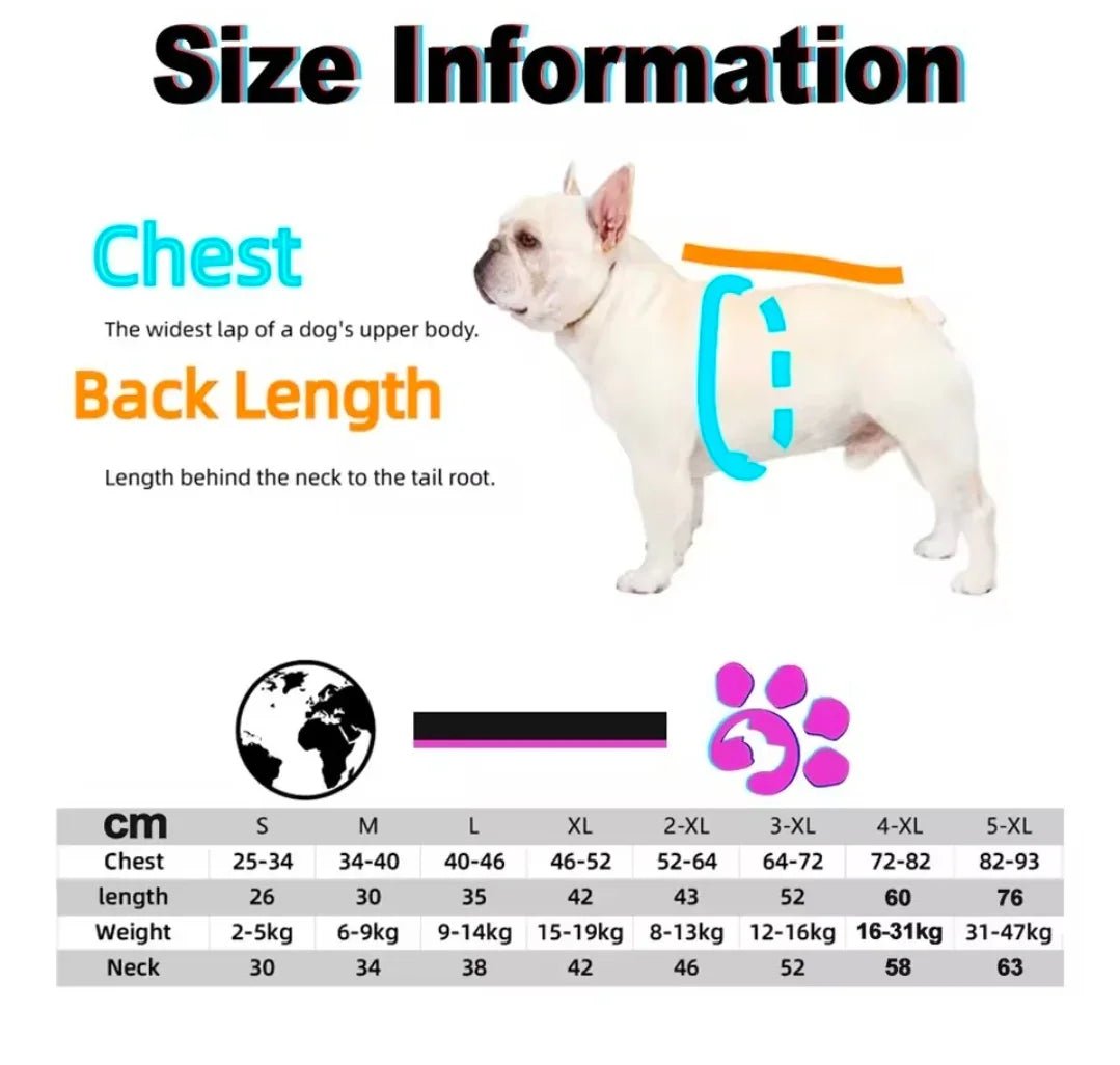 Dog Shack Flash!! Dog Coat | Luxury Home Accessories | Heulog Glow